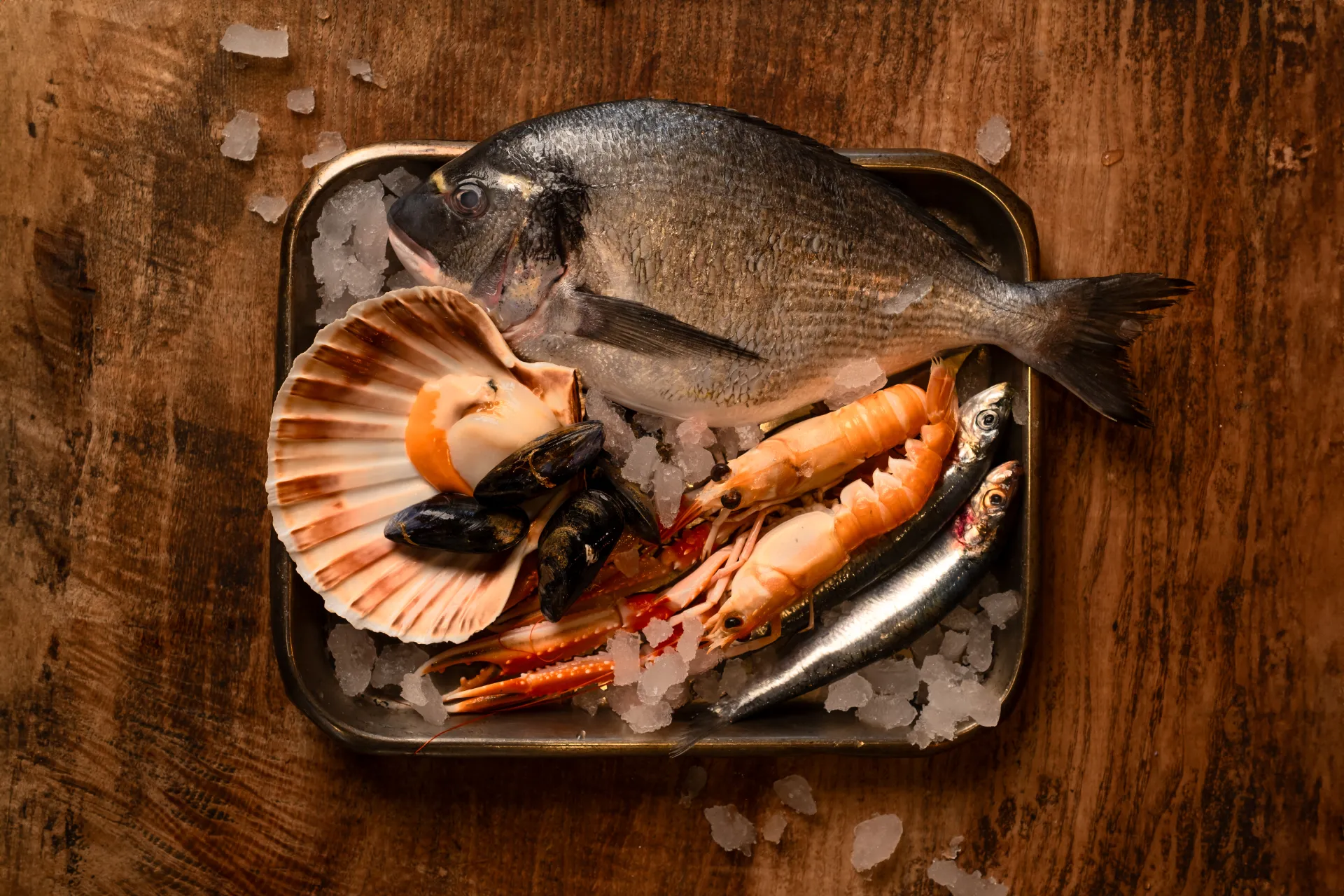 Seafood platter with fresh fish, lobster, langoustines, and scallop arranged on ice in a dark metal tray on rustic wooden surface