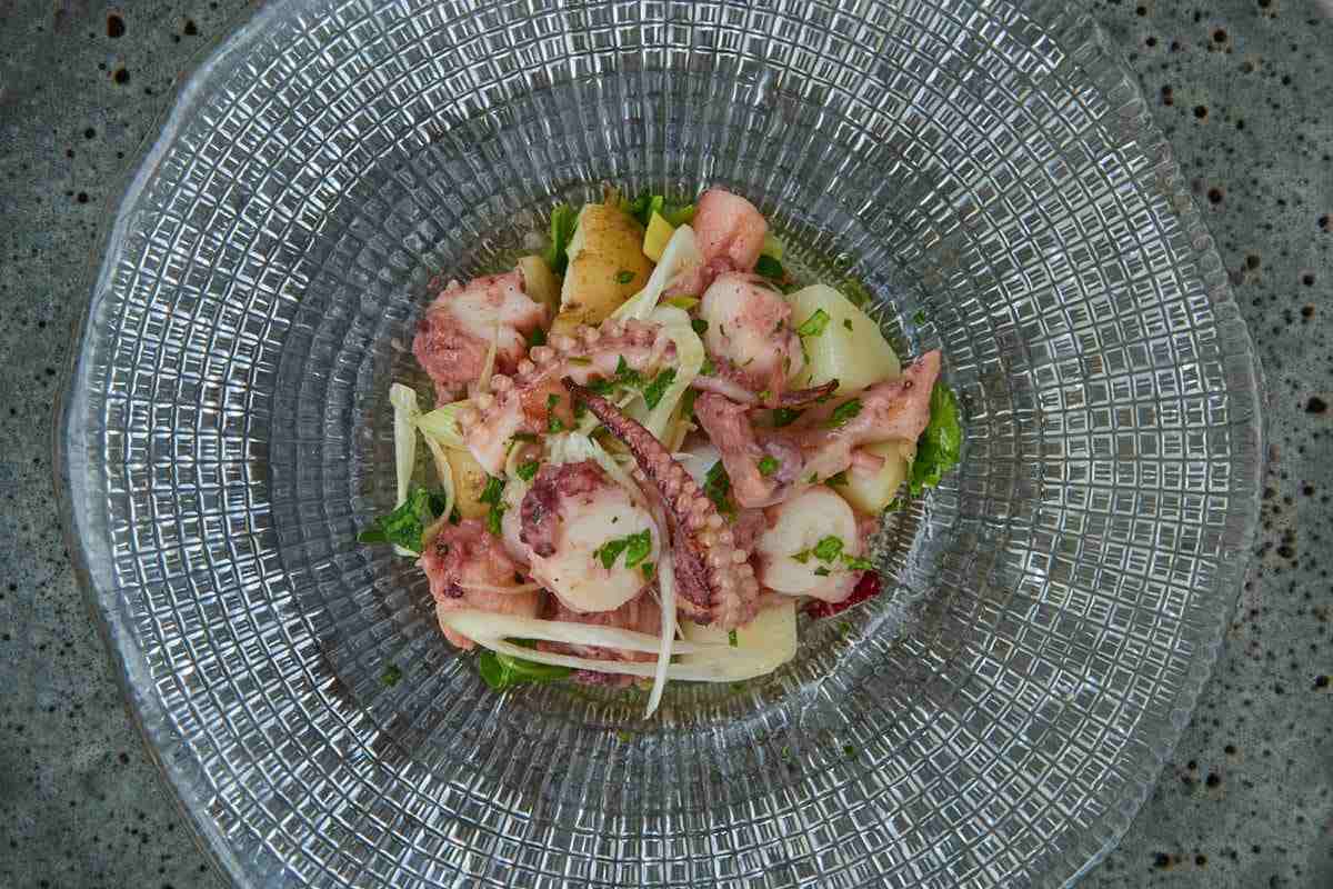 Food Octopus Salad